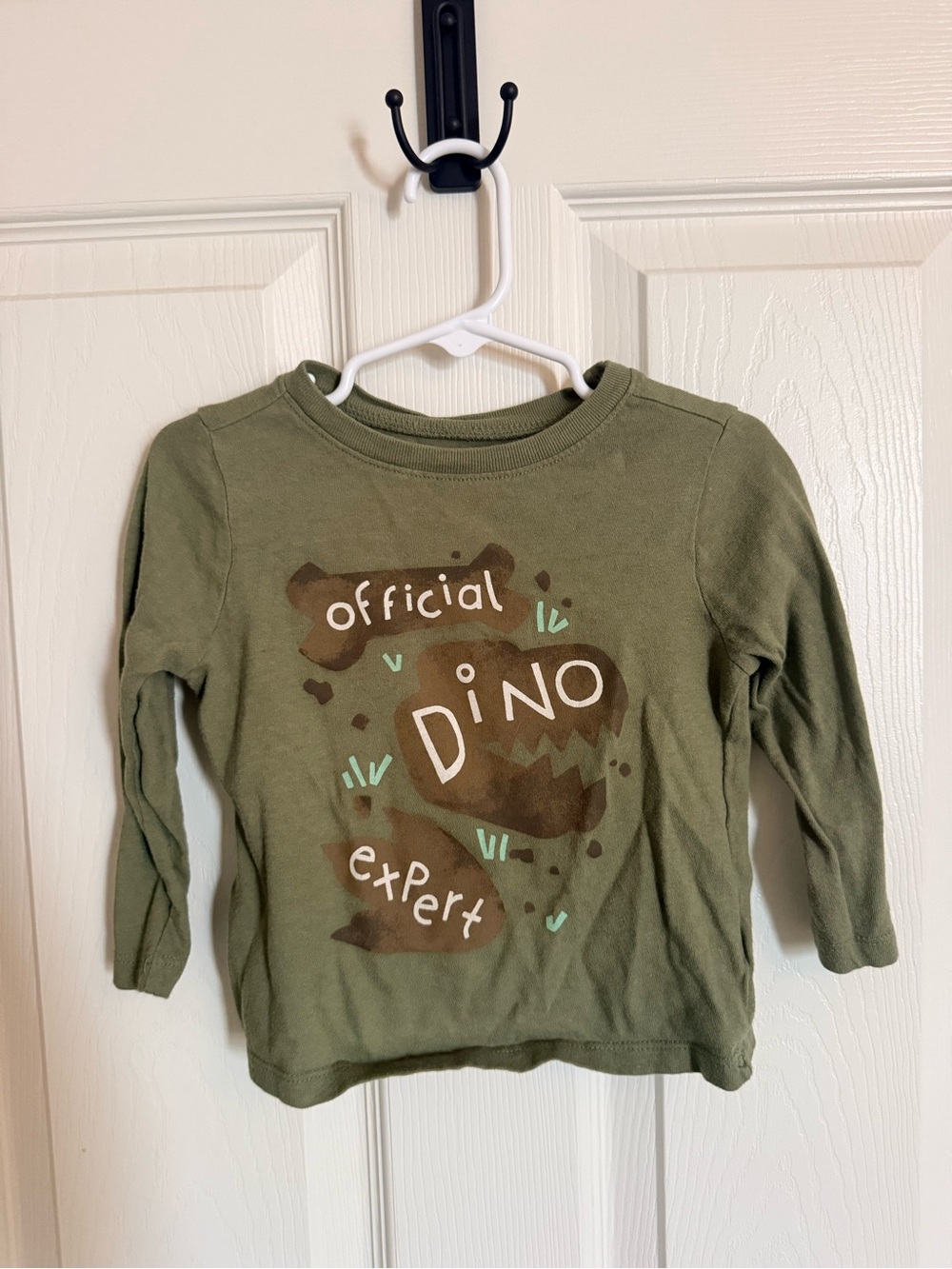 Old Navy Olive Green 'Official Dino Expert' Long Sleeve Tee